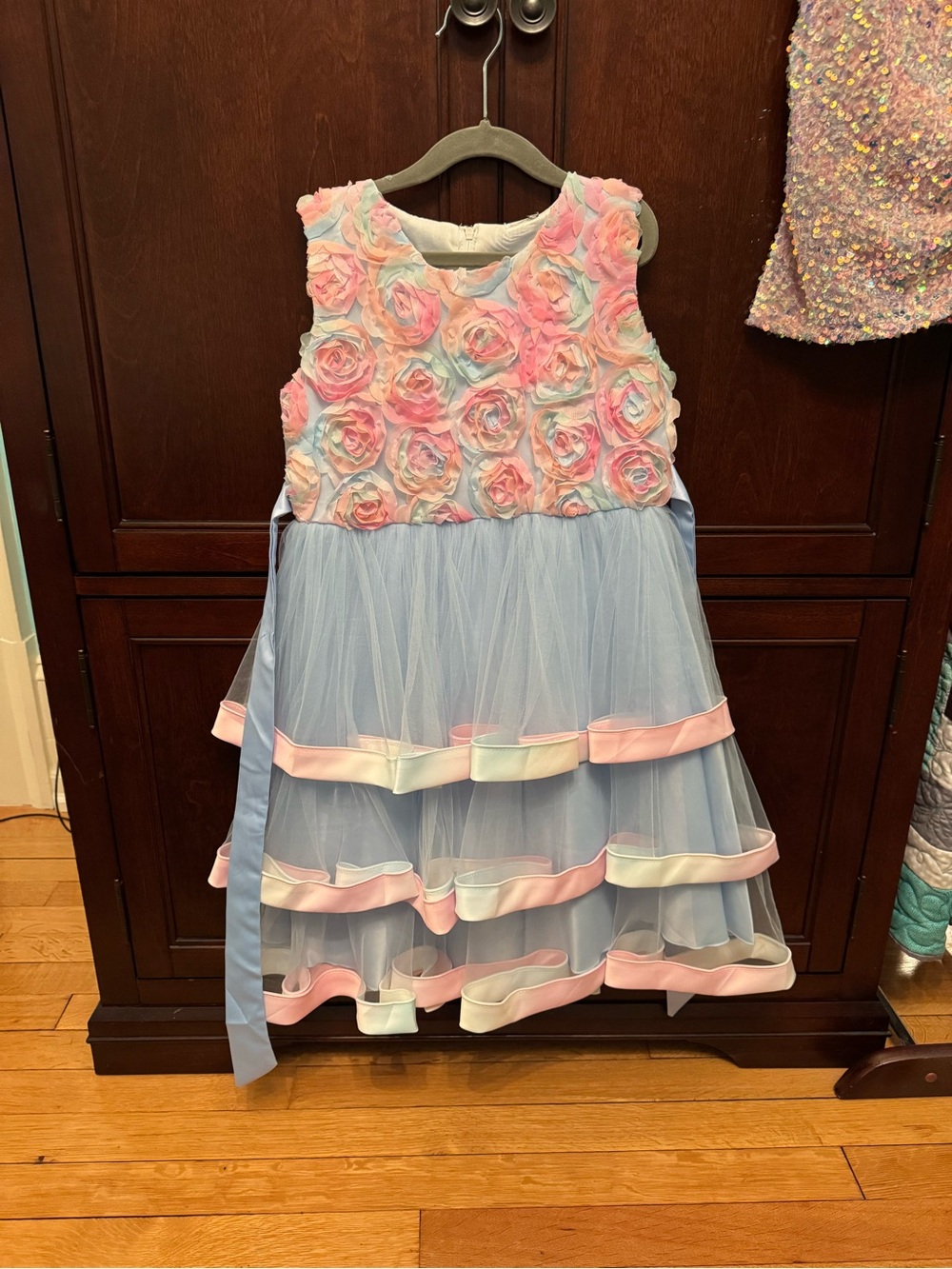 Girls' Pastel Rose Bodice Blue Tulle Party Dress